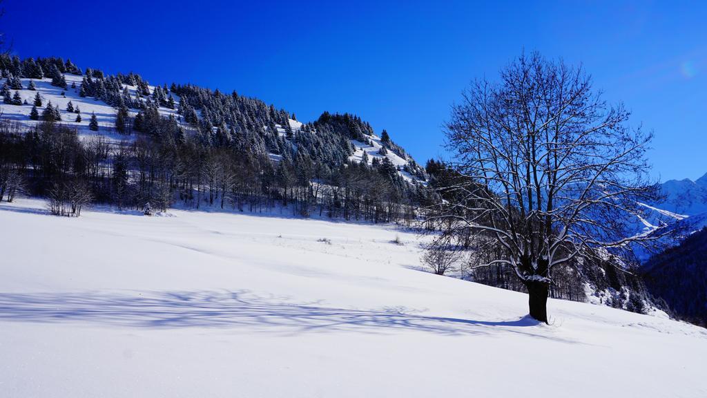 Résidence Goélia Les Chalets des Ecourts Saint-Jean-d'Arves Esterno foto